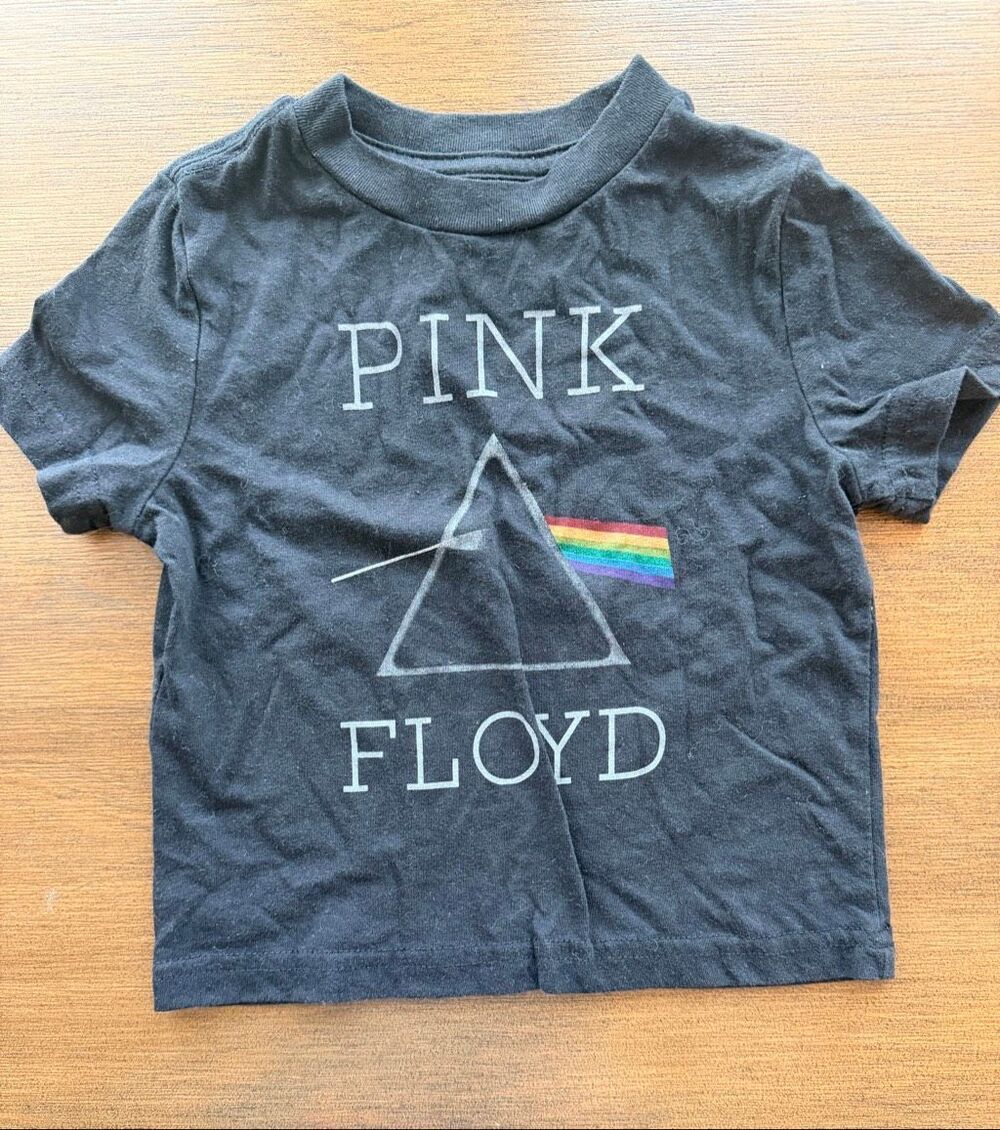 Pink Floyd The Dark Side Of The Moon Toddler T Shirt Gray Size 18 Months
